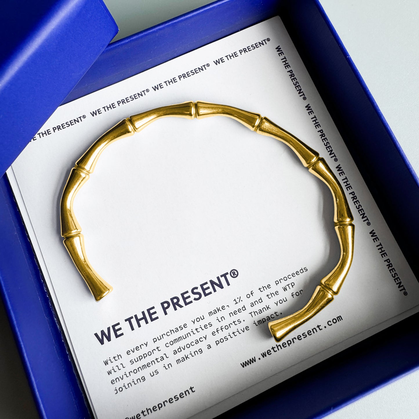 We The Present Bamboo14k Gold Coated Bangle