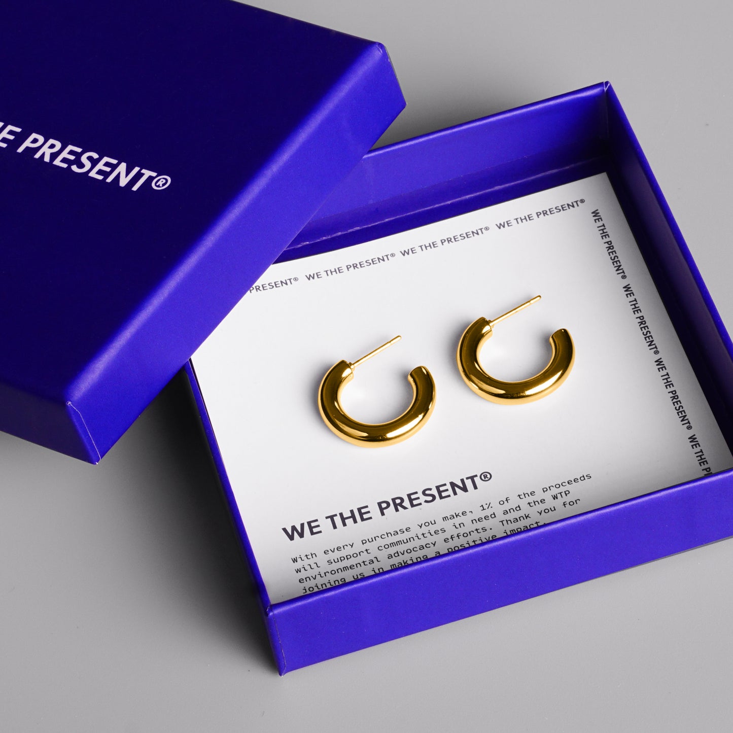 We The Present Bella 14k Gold Vermeil Hoops