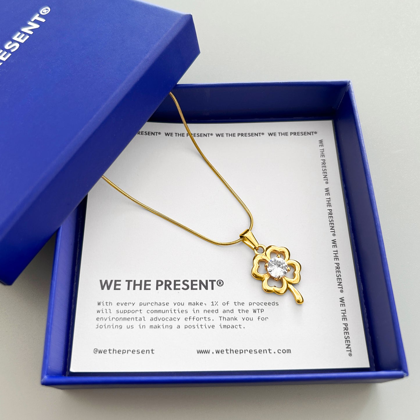 We The Present Aliyah Snake Chain 14k Coated Gold Necklace