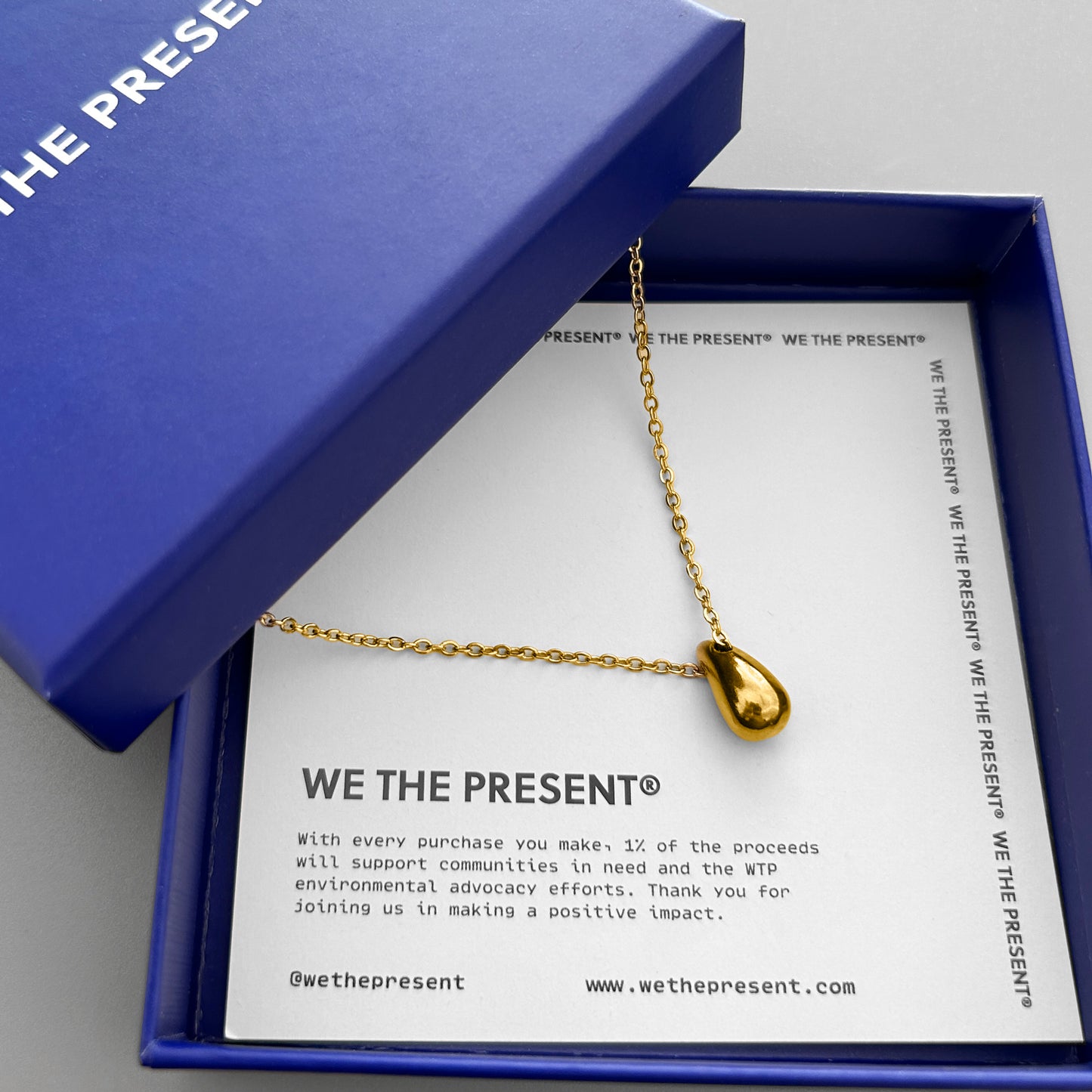 We The Present Rowan Drop 14k Gold Coated Pendant Necklace