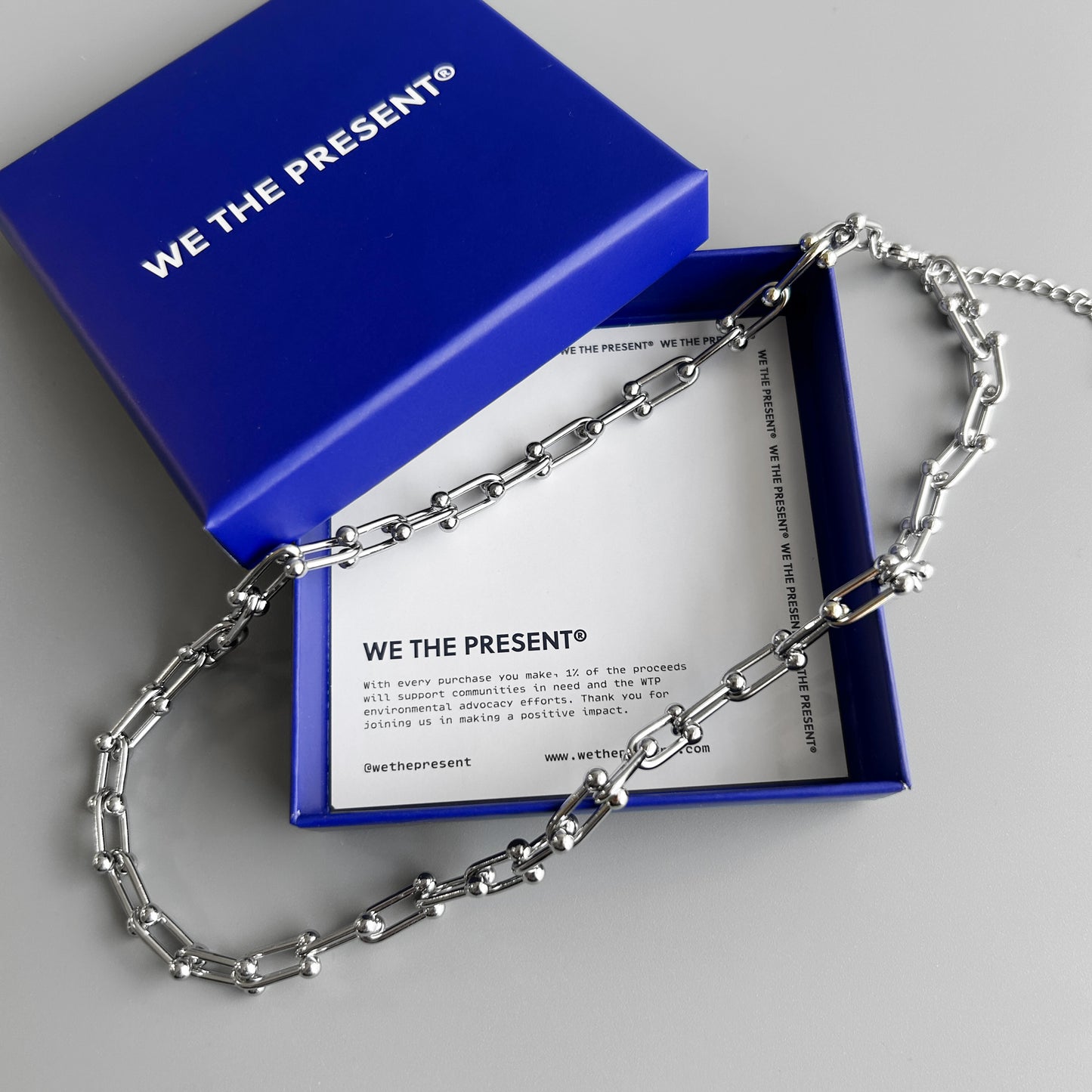 We The Present Otto Stainless Steel Silver Chain Necklace