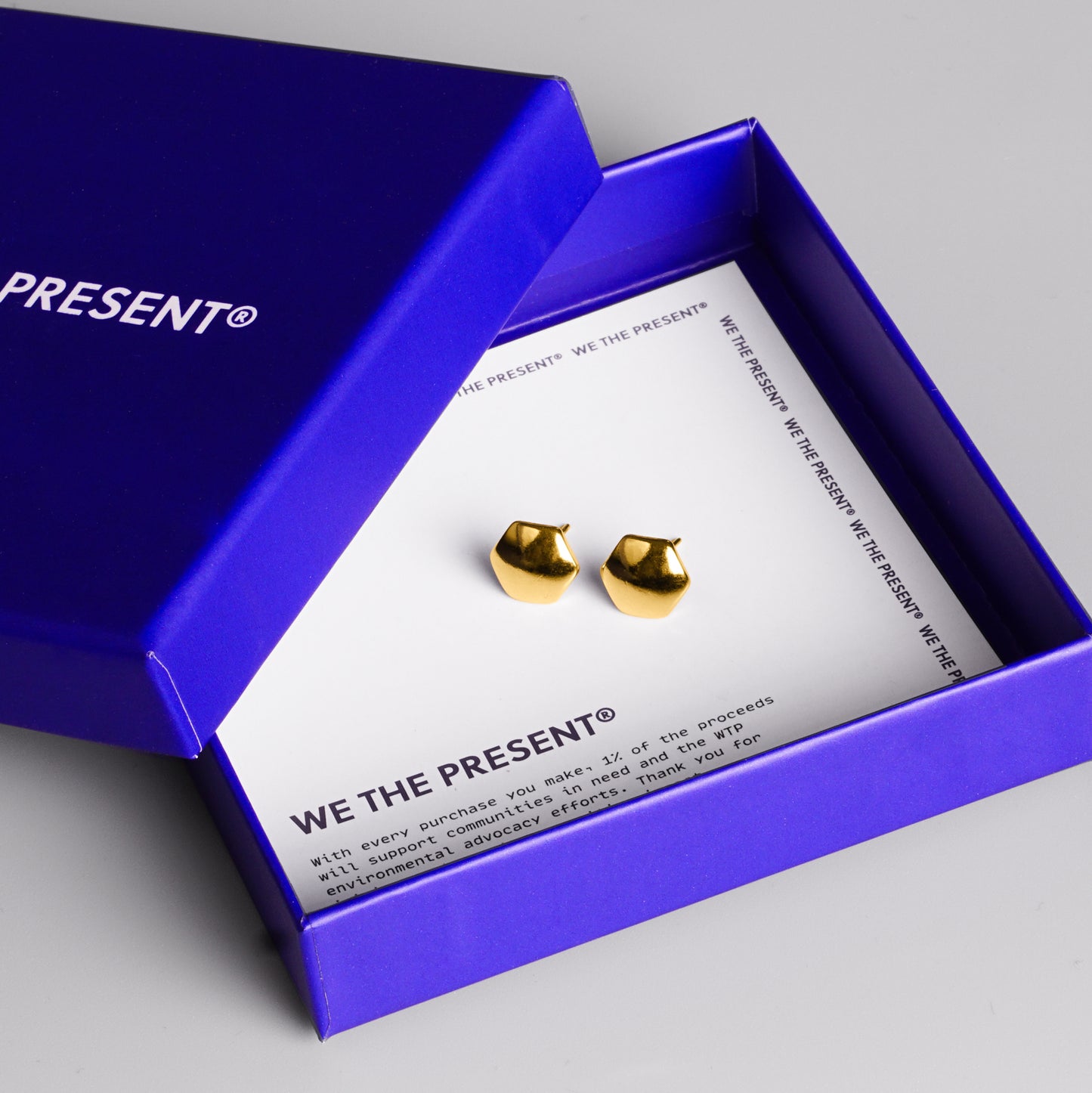 We The Present Blake 14 Gold Vermiel Stud Earrings